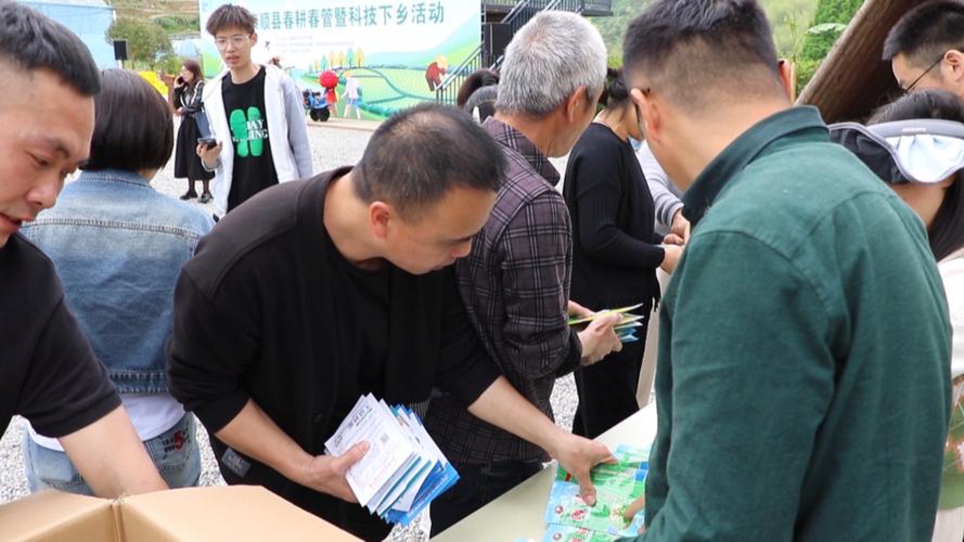 番茄网络科技